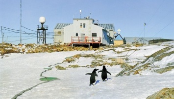 Правительство увеличило финансирование антарктических исследований