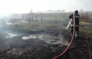 В Житомирской области продолжается ликвидация возгорания торфа