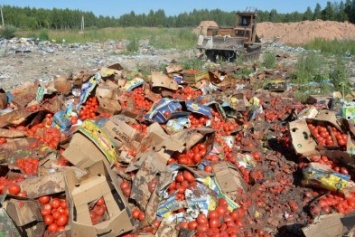 В Ялте выкинули на свалку три тонны импортного сыра и колбас