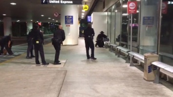 В аэропорту Лос-Анджелеса задержали мужчину в костюме Зорро, вооруженного пластиковым мечом
