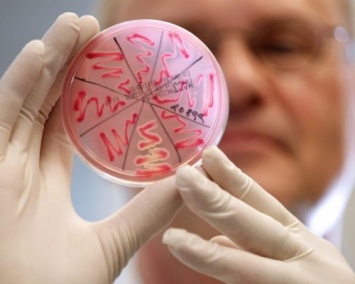 Ученые разработали тест, который позволит различать бактериальную и вирусную инфекцию