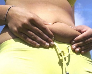 Ученые из Техаса открыли белок, расщепляющий жир