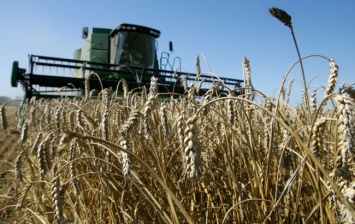 Аграрный фонд направил 1,5 млрд гривен на форвардную программу поддержки сельхозпроизводителей