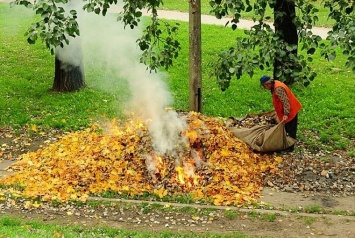 Что делать, если вас "закумарила" горящая листва