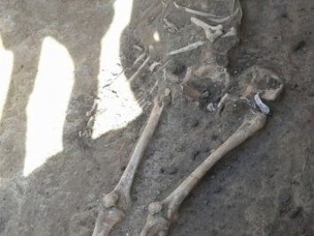 Под Мелитополем обнаружили древние человеческие останки (фото)