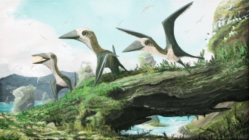 Палеонтологи открыли крылатых динозавров размером с кошку