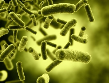 Обнаружена новая бактерия, неуязвимая к антибиотикам