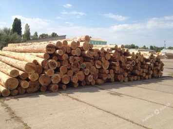 Одесская прокуратура озаботилась незаконным экспортом леса