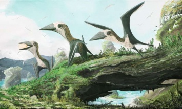Палеонтологи открыли новый вид крылатого динозавра