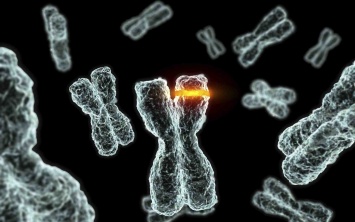 Ученые: Нестабильность хромосом можно использовать для лечения рака