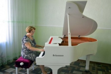 В музыкальных школах Большого Доброполья появились новые инструменты