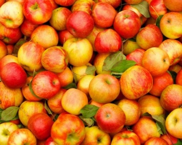 Ученые: Яблоки продлевают жизнь человека на 17 лет