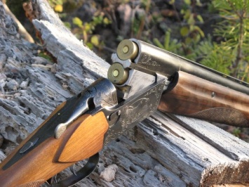 Житель Одесской области подстрелил знакомого из охотничьего ружья