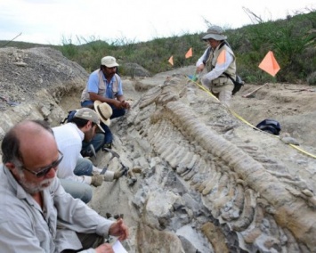 Ученые: В Гренландии обнаружены древнейшие следы жизни