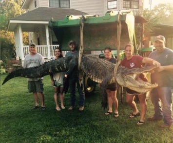 Женщина из Миссисипи поймала самого крупного аллигатора в мире (фото)