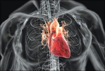 Ученые: Сердечные заболевания связаны с употреблением инъекционных наркотиков