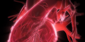 Ученые: Инъекционные наркотики продуцируют сердечные заболевания