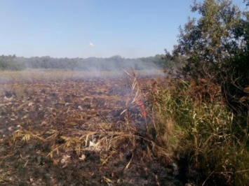 Спасатели ликвидировали торфяной пожар в Винницкой области