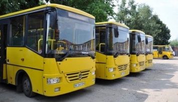 Львовские перевозчики прекратили забастовку: автобусы вышли на маршруты