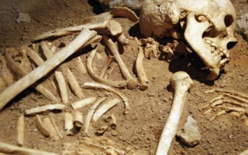 В Берлине возле бывшего нацистского лагеря найдены человеческие кости