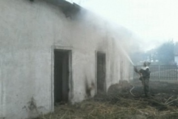За сутки на Херсонщине тушили два пожара в хозяйственных постройках