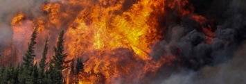В Болгарии бушует масштабный лесной пожар