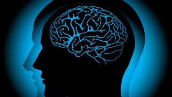 Ученые: Во время сна мозг человека распределяет информацию