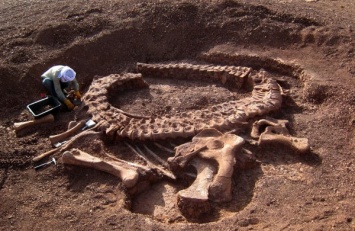 В Аргентине нашли останки старейшего летающего птерозавра