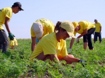 Мосгордума предлагает школьникам проходить практику на предприятиях и сельхозугодьях