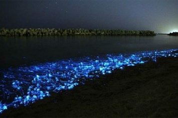 Одесский фотограф запечатлел невероятное светящееся море (ФОТО)