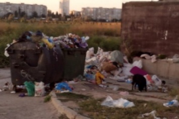 Сколько херсонцам еще терпеть зловоние неубранного мусора