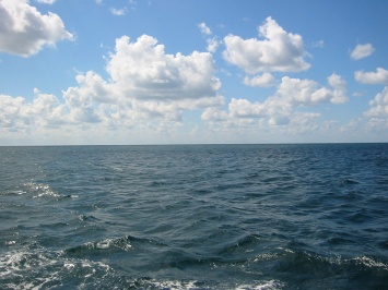 Черное море потеряло более трети пригодного для жизни объема