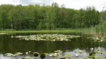 Несуществующий природный парк ликвидировали в Орловской области