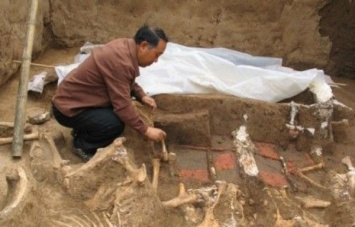 Китайские археологи обнаружили захоронение, которому около 1500 лет