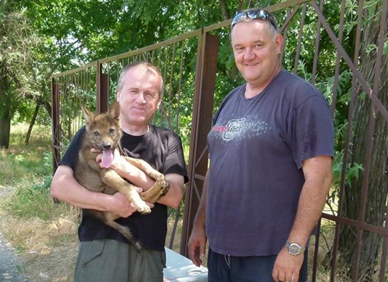 Зоопарк "Межигорья" приютил волчонка и куропатку