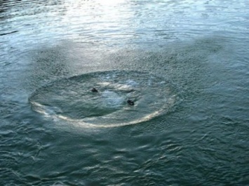 Мальчик утонул в озере в Волынской области