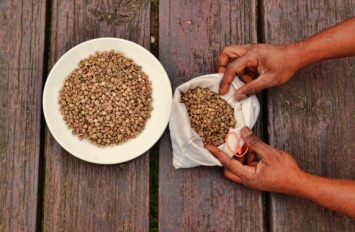 Количество пригодных для выращивания кофе земель сократится вдвое в ближайшие 30 лет - исследование