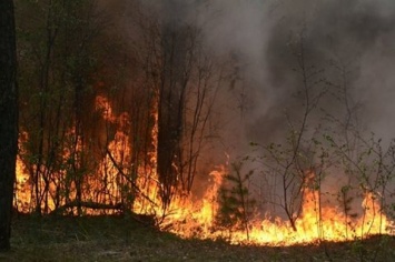 В Полтавской области объявили чрезвычайную пожарную опасность