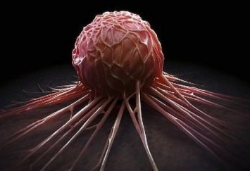 Ученые впервые «принудили» раковые клетки к суициду