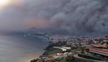Возле Марселя огонь уничтожил 360 га местной флоры