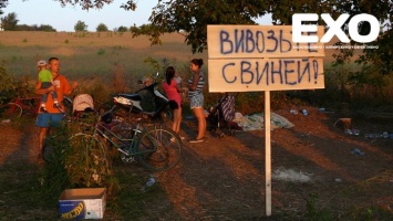 В селе Полтавской области произошли столкновения между противниками и сторонниками деятельности свинокомплекса