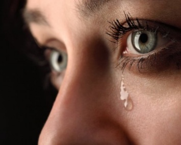 Ученые: Вирус Зика может передаваться через глаза и слезы