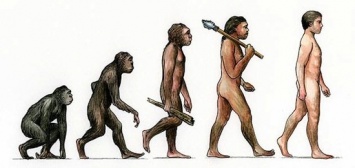 Ученые: Изображения эволюции человека выполнены в обратном порядке