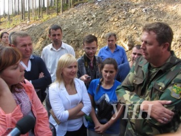 В Украине усилят ответственность за незаконную рубку леса
