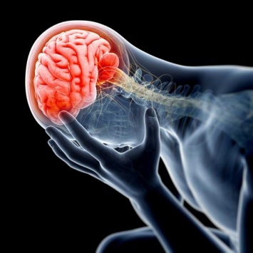 Удаление фрагментов черепа после травмы головы снижает риск смерти от отека мозга