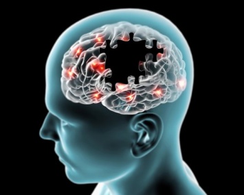 Ученые из России рассказали о негативном влиянии стресса на мозг