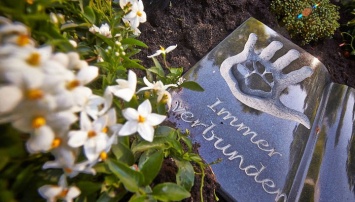 В Германии появится совместное кладбище для домашних животных и их хозяев