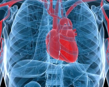 Ученые дают надежду для больных с ревматическими пороками сердца