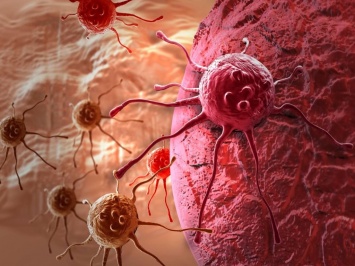 Ученые установили негомогенность раковых клеток