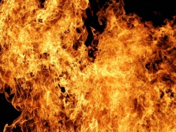 Мужчина погиб во время пожара в Житомирской области, его сын получил ожоги